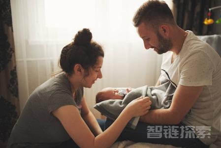 新父母五门必修大课